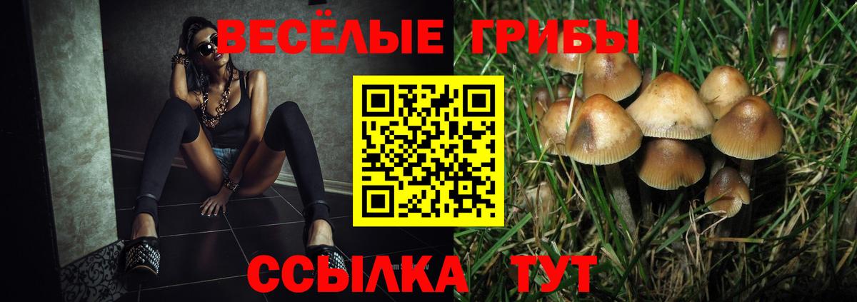 Мурино  Галлюциногенные грибы Psilocybe  Псилоцибиновые грибы мицелий  Вход с VPN 